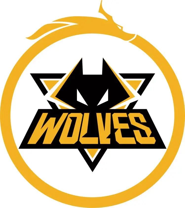 Ninjas in Pyjamas 解散英雄联盟阵容